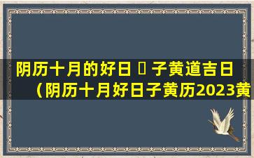 阴历十月的好日 ☘ 子黄道吉日（阴历十月好日子黄历2023黄道吉日）